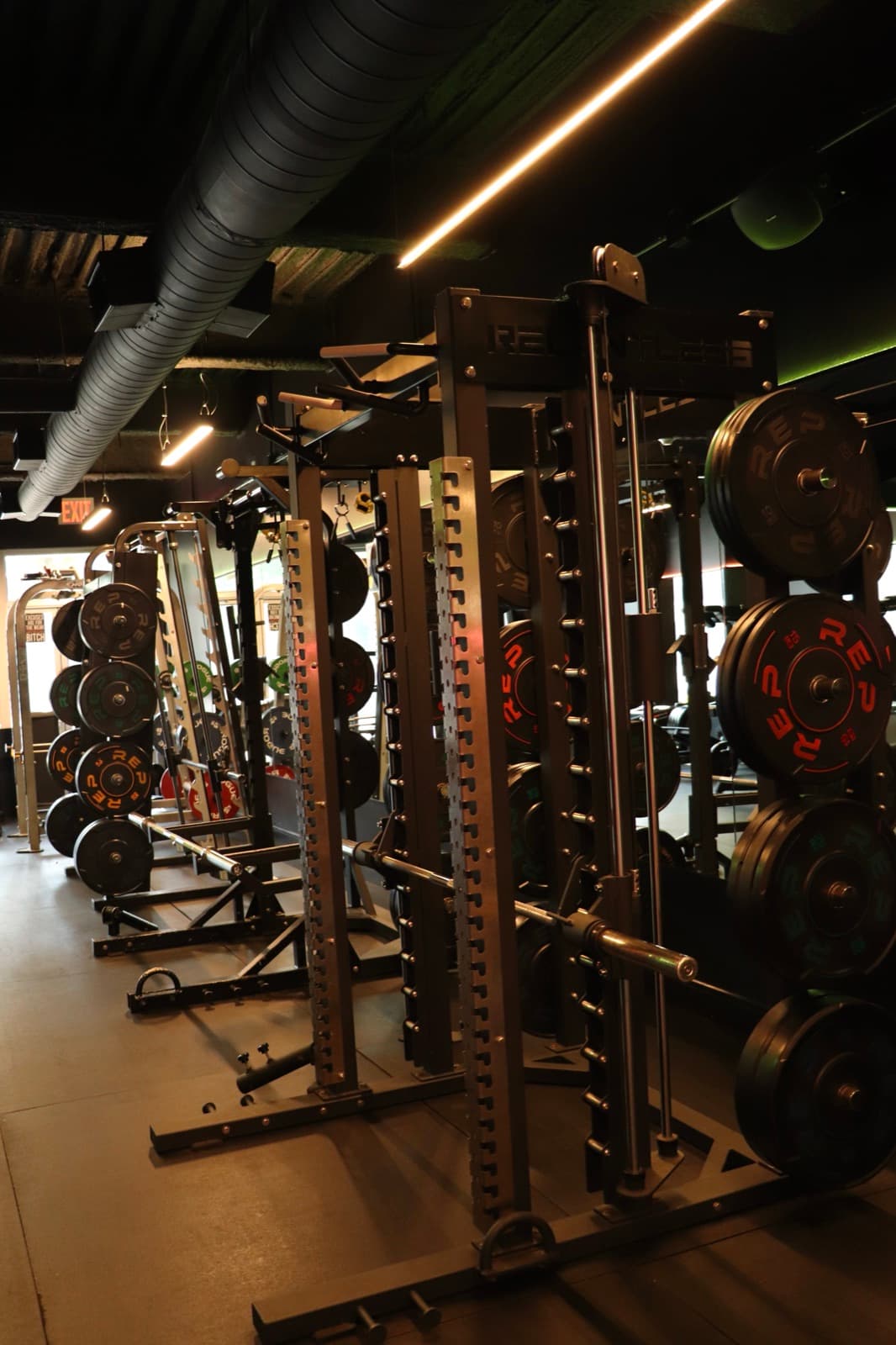 Squat racks loaded with REP and Rogue plates on the ProBody training floor